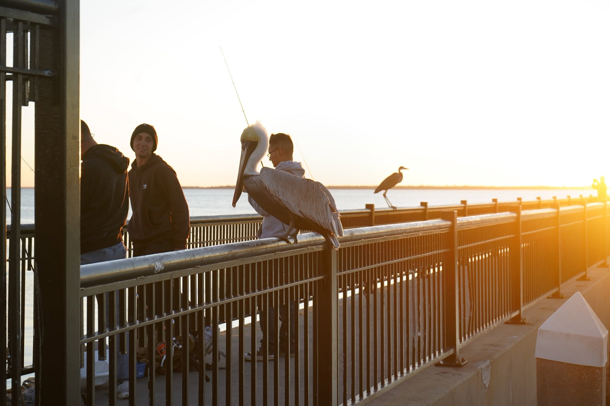 Pensacola Beach Photos photo 8