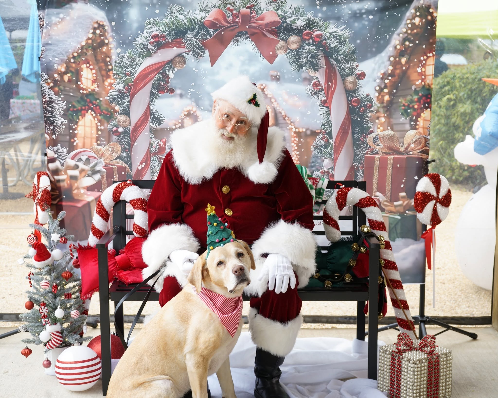 Pictures With Santa photo 4