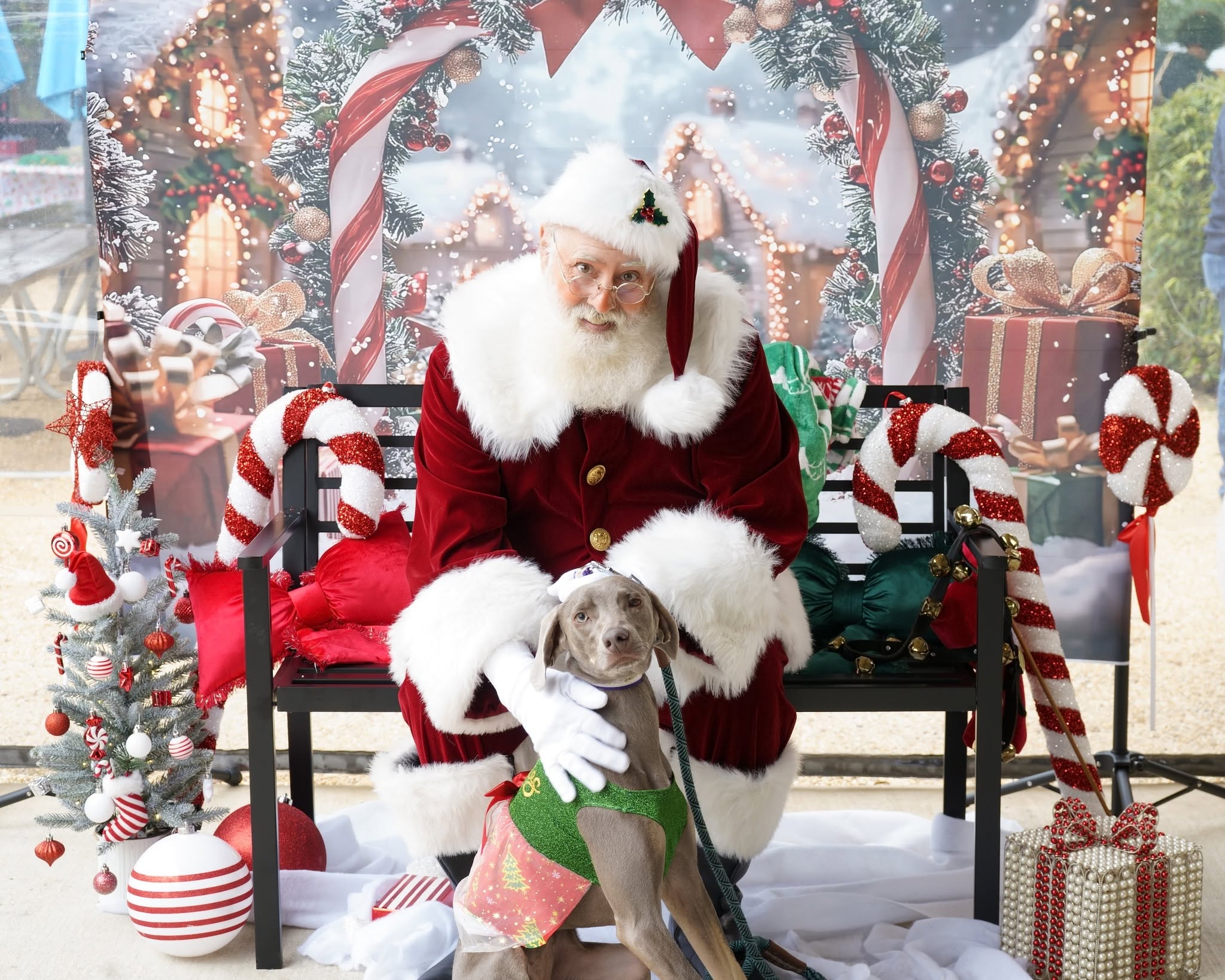 Pictures With Santa photo 5
