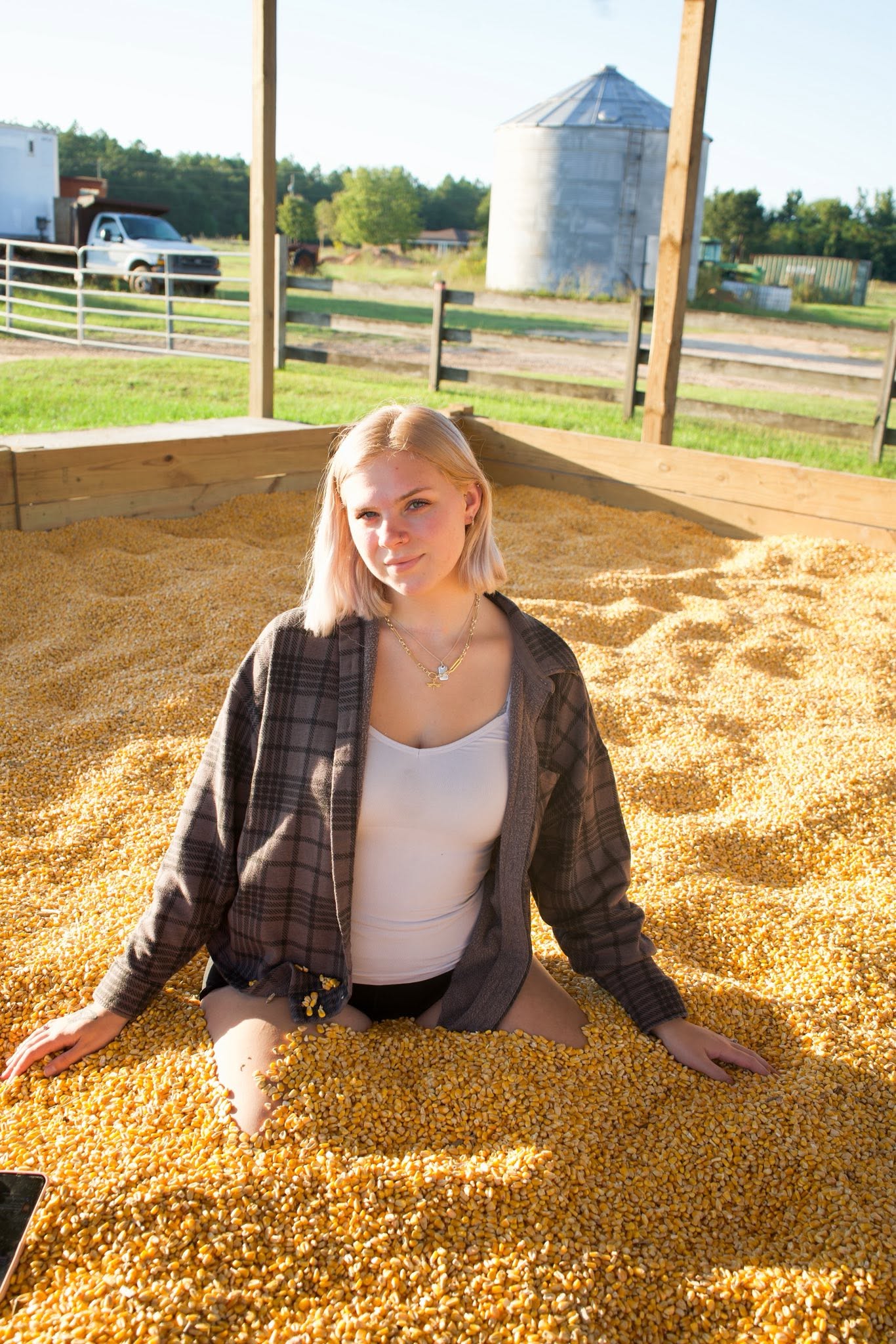 Pumpkin Patch gallery cover