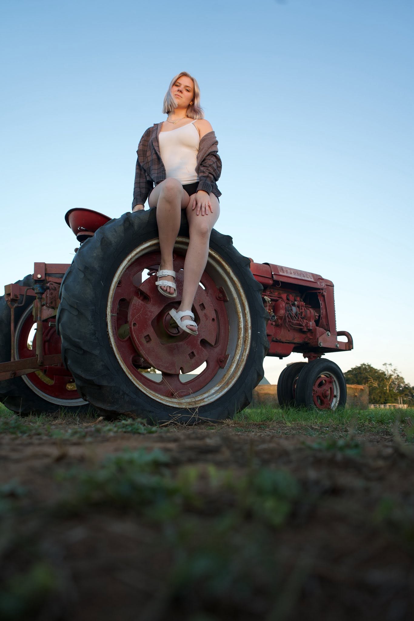 Pumpkin Patch photo 3