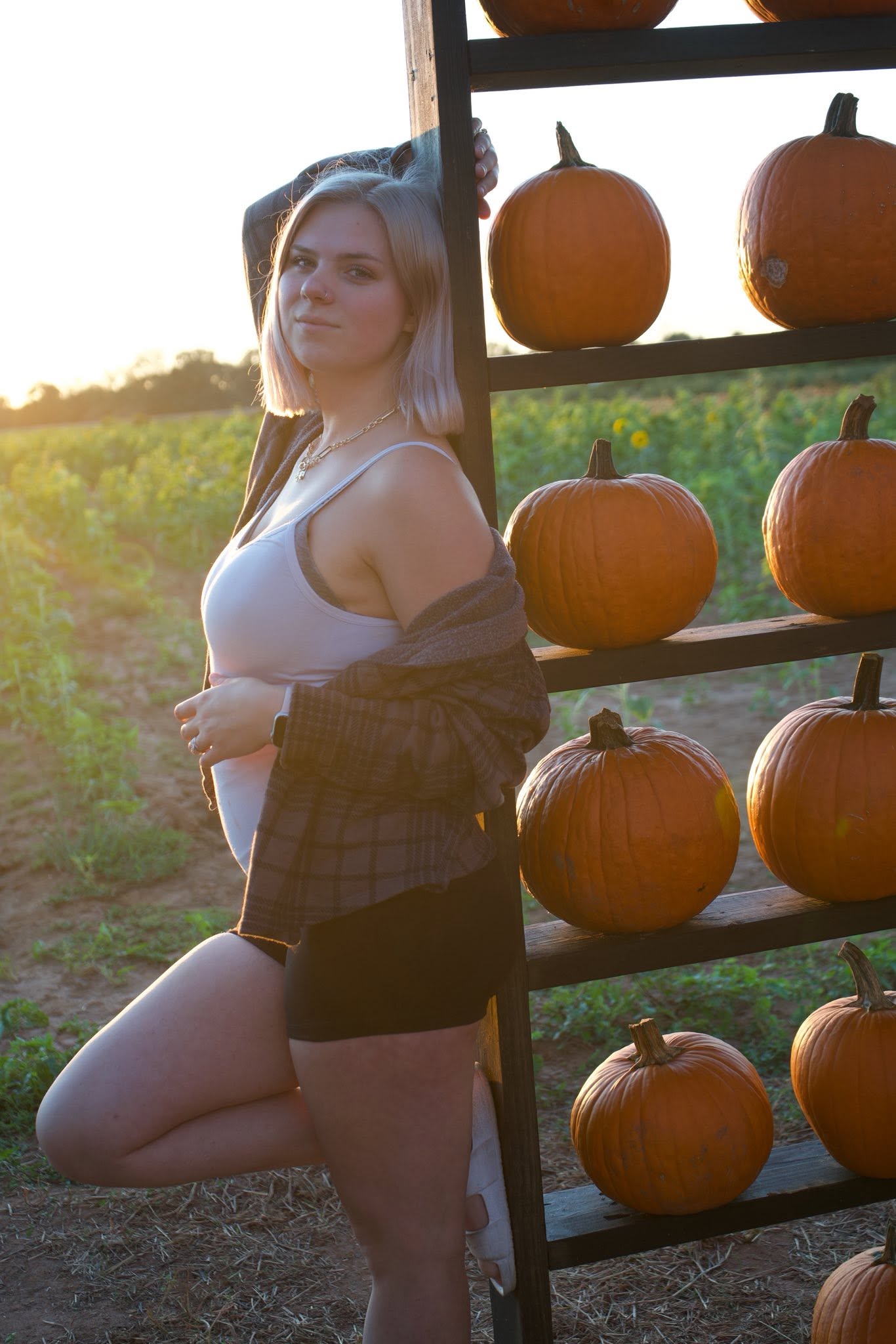 Pumpkin Patch photo 5