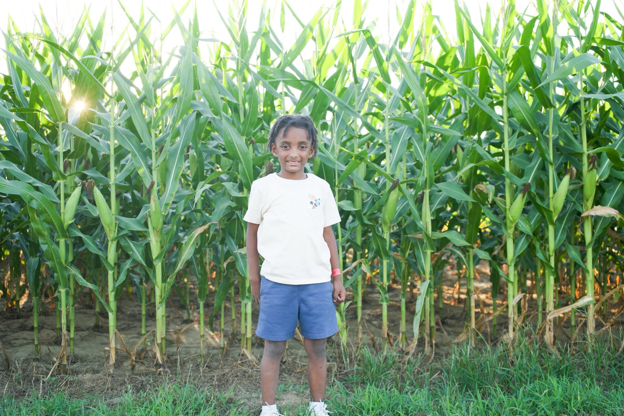 Pumpkin Patch photo 6