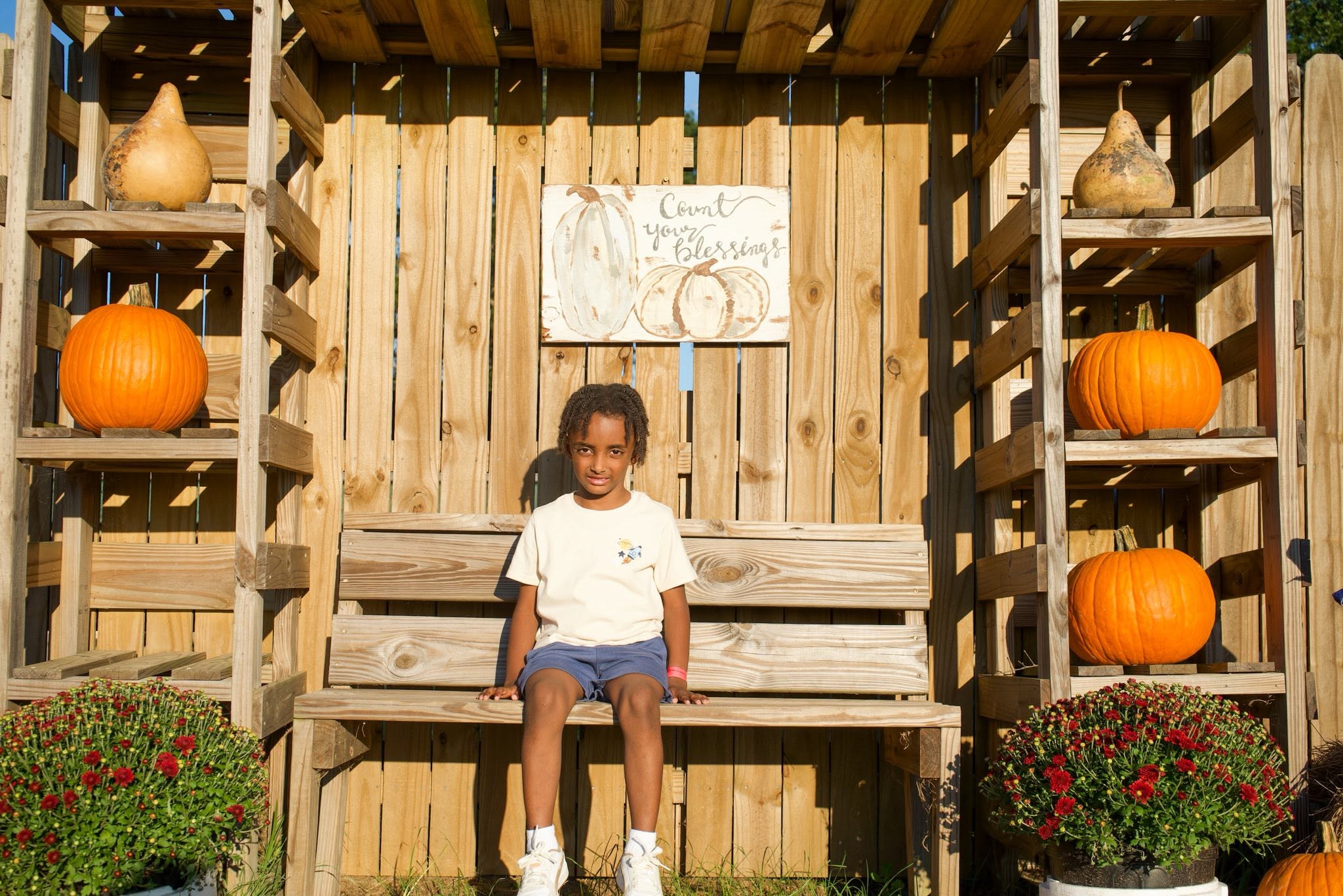 Pumpkin Patch photo 8