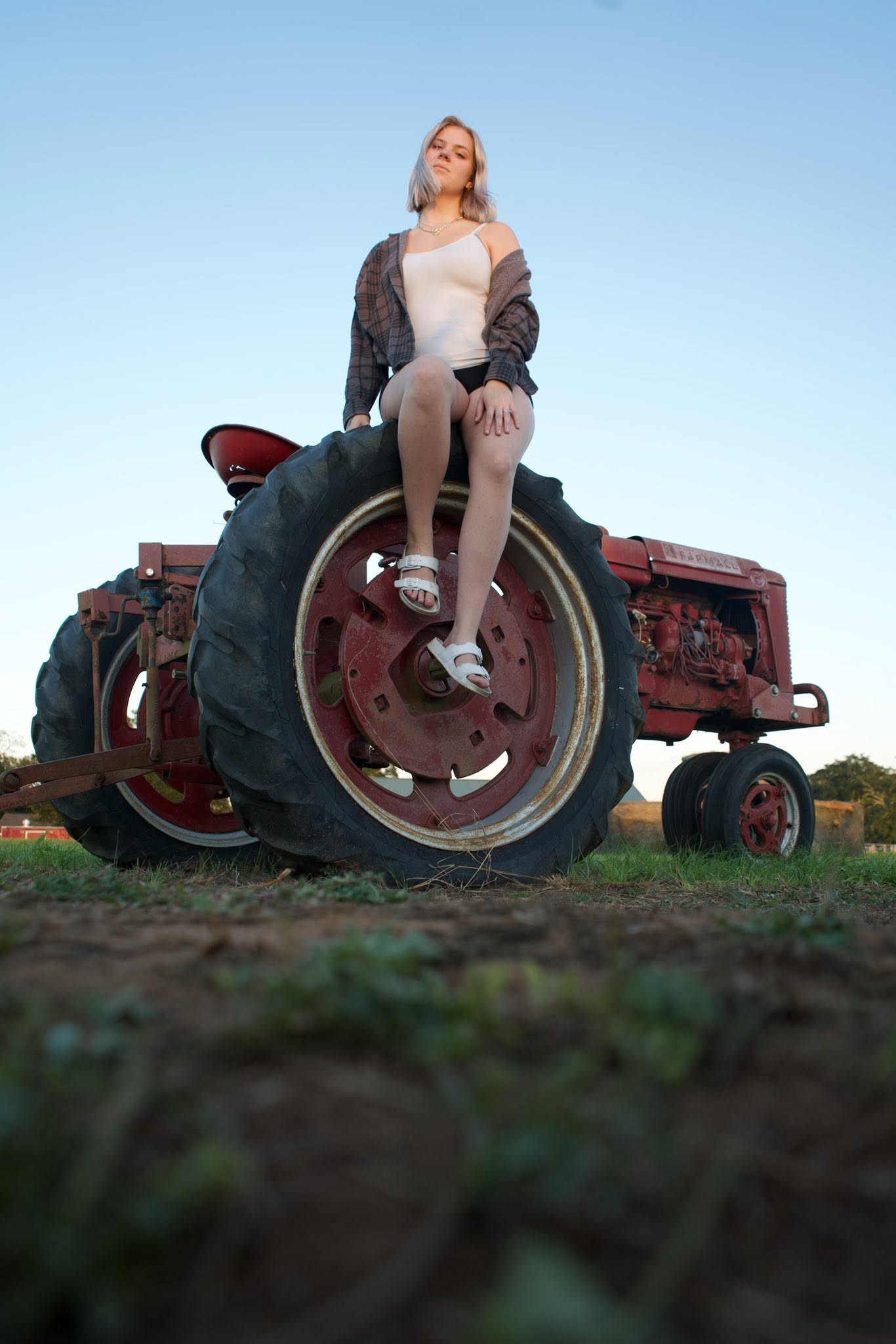 Pumpkin Patch photo 12